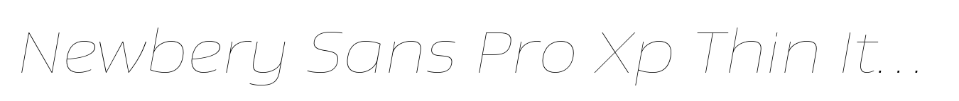 Newbery Sans Pro Xp Thin Italic